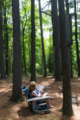 A woman reads a book among the trees